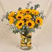 Sun Kissed Sunflowers