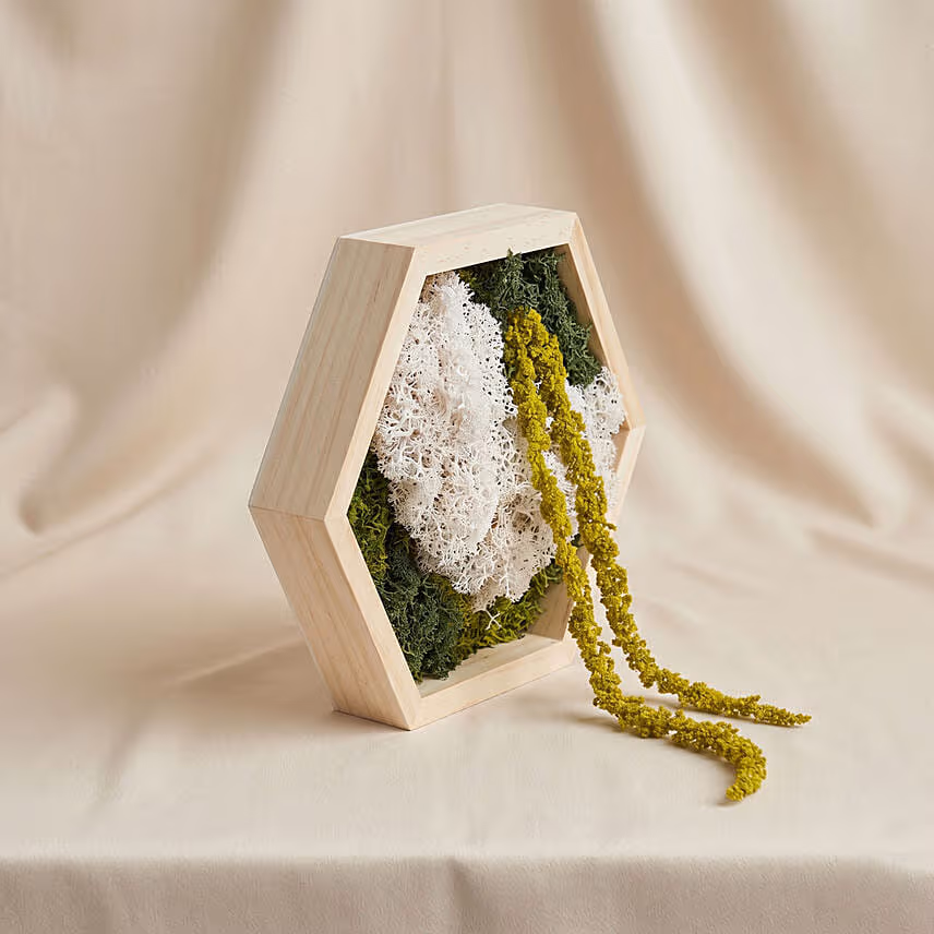 Hexagon Wooden Preserved Moss Wall Art Frame