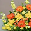 ترتيب زهور مبتهج للشفاء العاجل