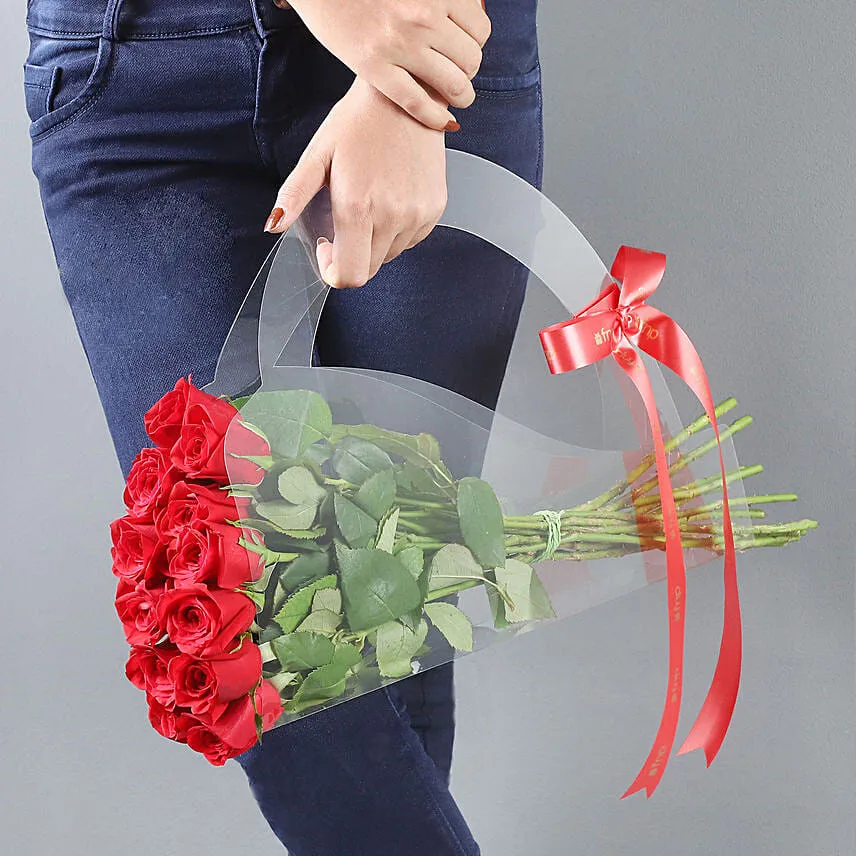 Red Rose Beauty