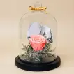 Eternal Pink Rose in Glass Dome - Perfect Gift of Timeless Beauty