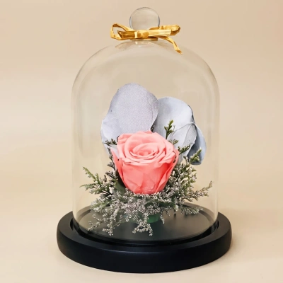 Eternal Pink Rose in Glass Dome - Perfect Gift of Timeless Beauty