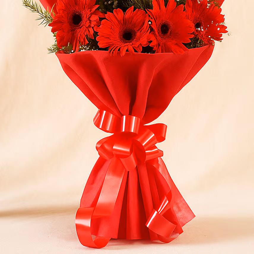 8 Red Elegance Gerbera Blossoms