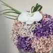 Enchanting Floral Symphony: Multicolored Baby Breath in Glass Bowl