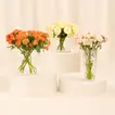 Trio of Rose Beauty