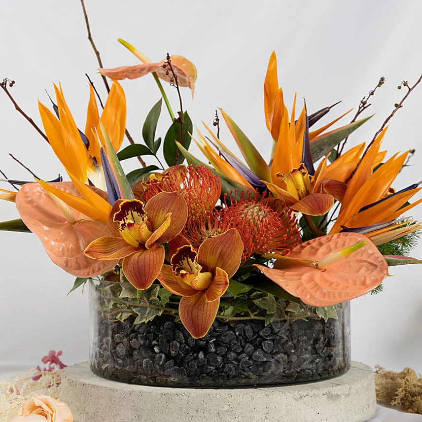 Burst of Flowers Beauty