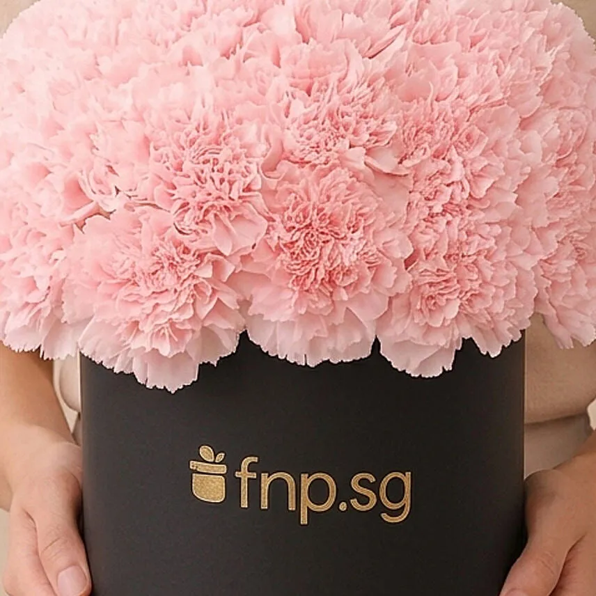 Pink Carnations Luxe Arrangement