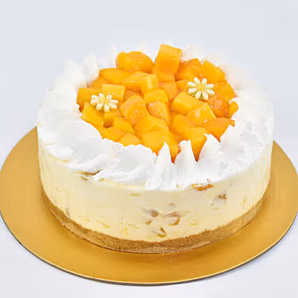 Exquisite Mango Love Euphoria Cheesecake