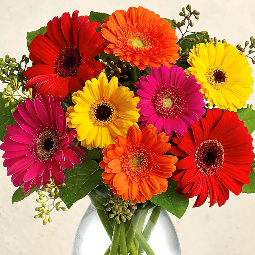 Heavenly Multicoloured Gerberas Vase Arrangement