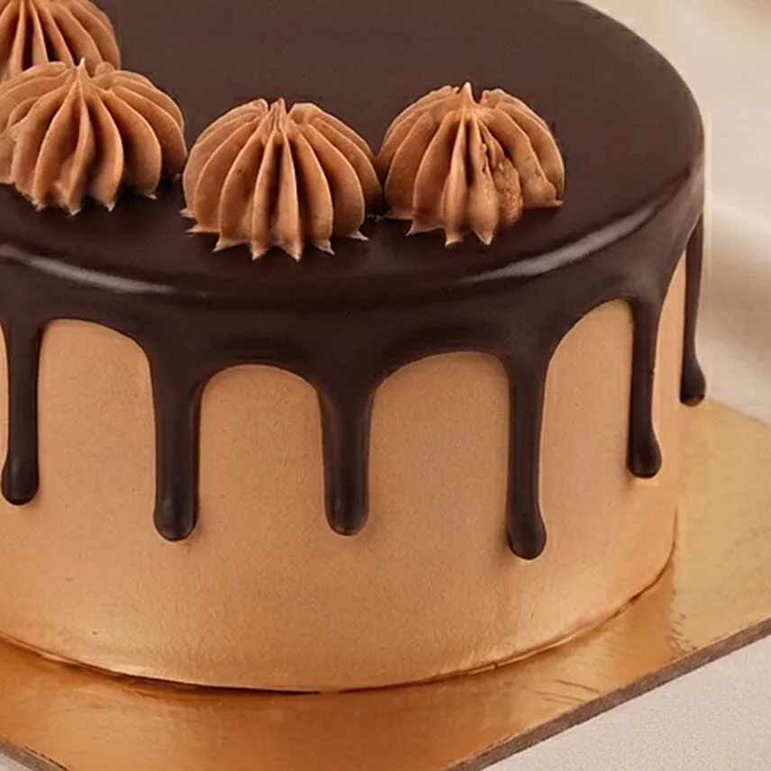 Choc Choc Cake