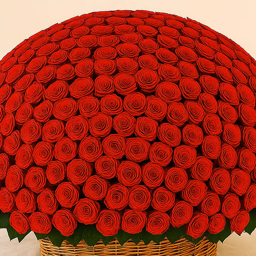 800 Red Roses Basket
