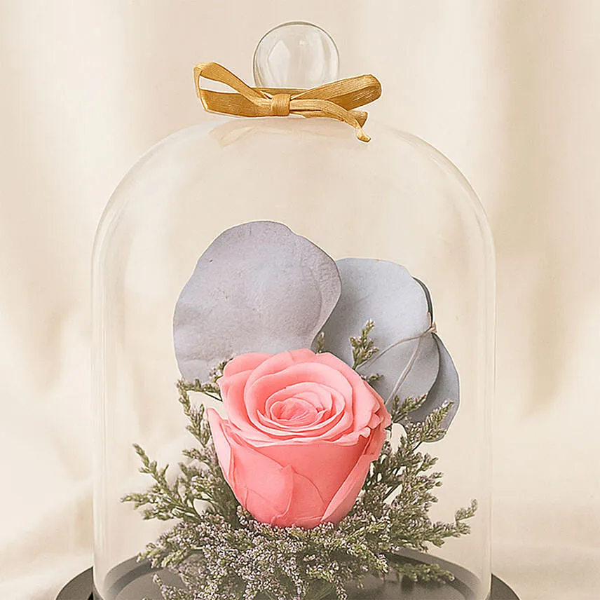 Forever Rose In Glass Dome- Pink