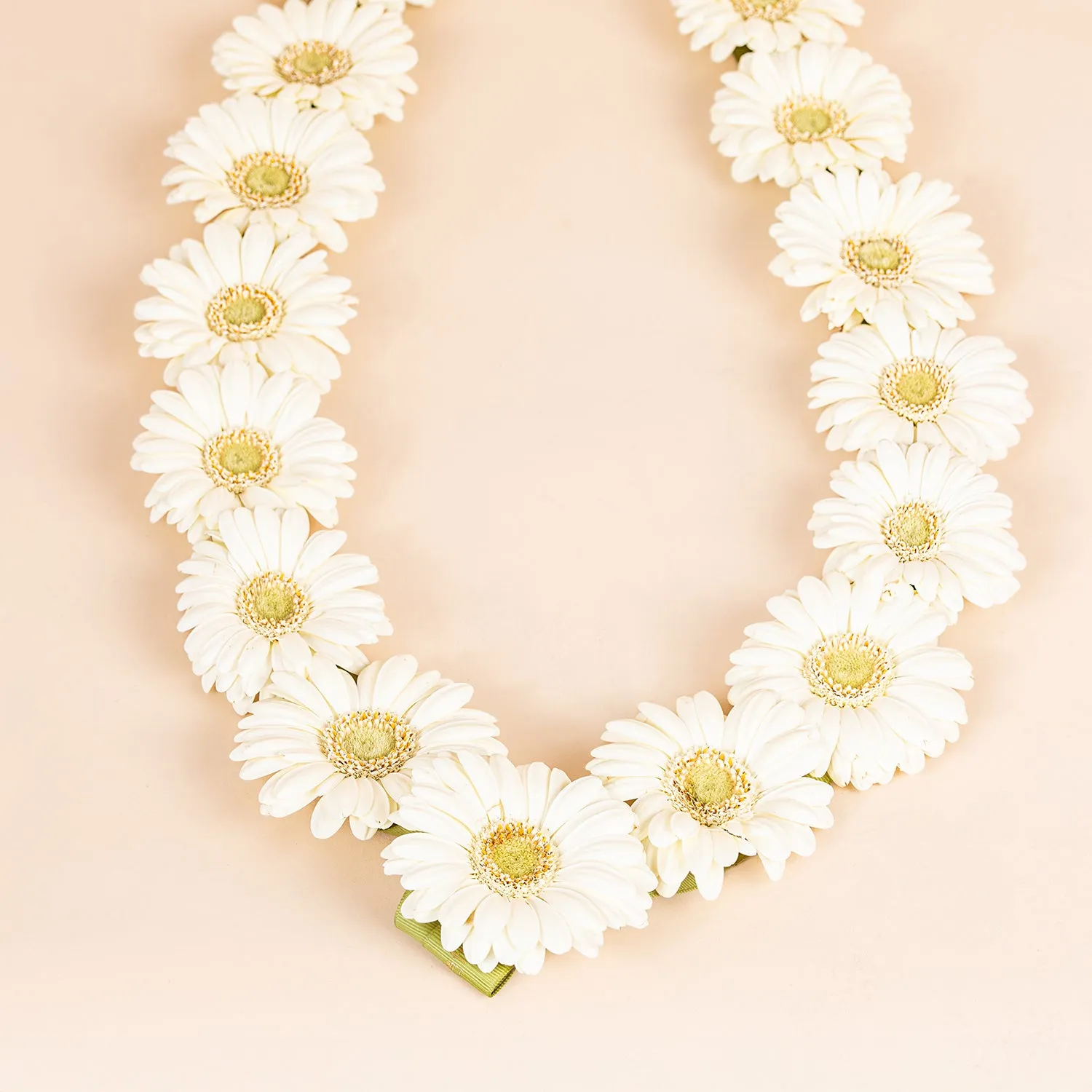Elegant White Gerbera Flower Garland with Ribbons