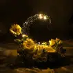 New Year Crescent Moon Garden 