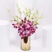 Stunning Purple Orchid in Gold Vase