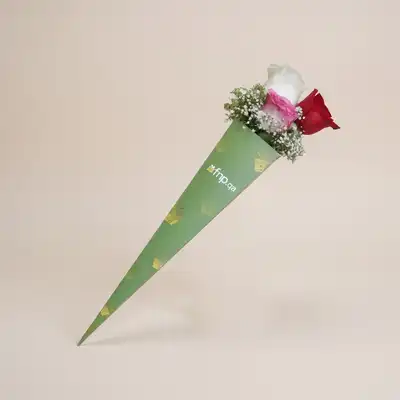 Elegant Bouquet of 3 Mixed Color Roses in Green Sleeve